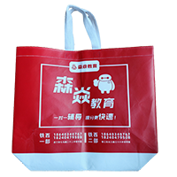 池州LB37培训班广告袋